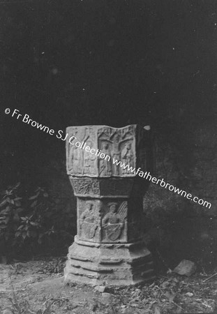 DUNSANY CASTLE FONT IN ABBEY